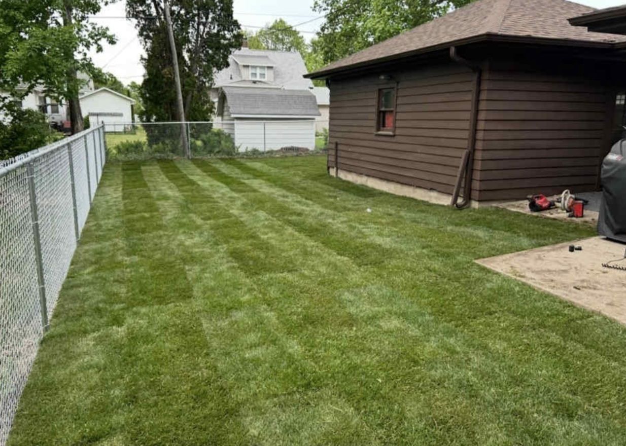 A backyard with a chain link fence and a house in the background.