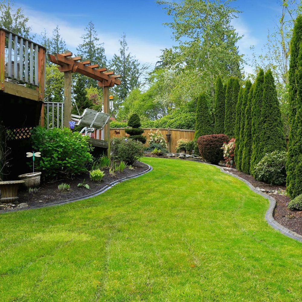 A backyard with a lush green lawn and a pergola.