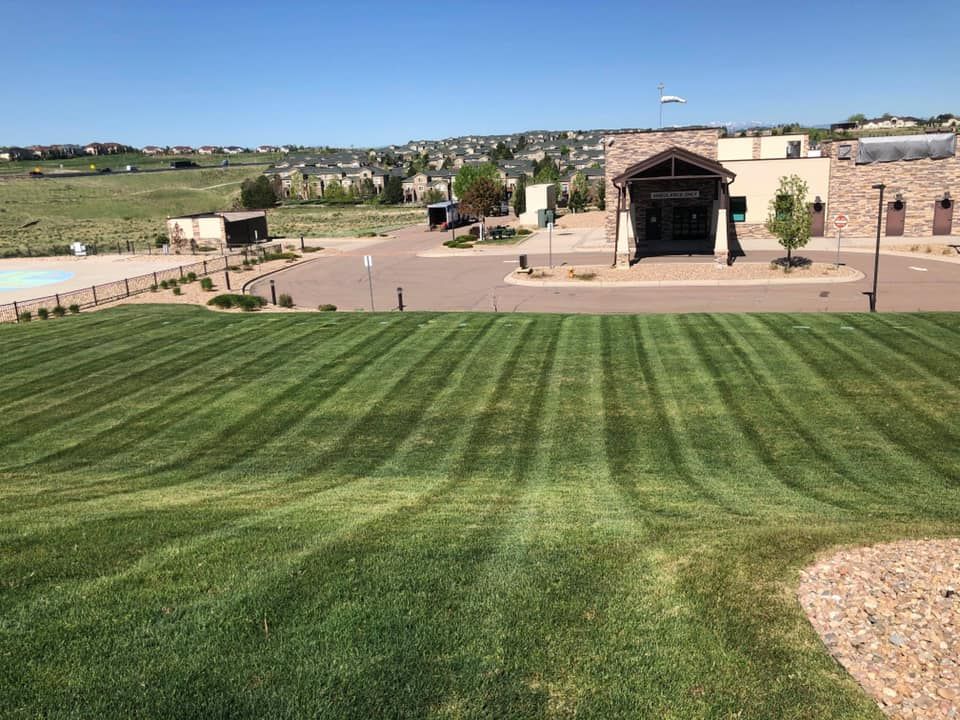 A large lush green field of grass with a building in the background.
