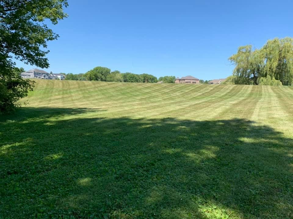 A large lush green field with a blue sky in the background.