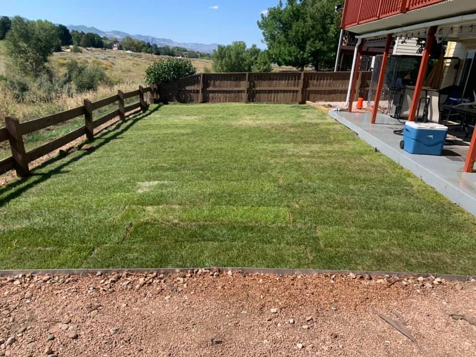 A large lawn with a wooden fence and a blue cooler in front of a house.