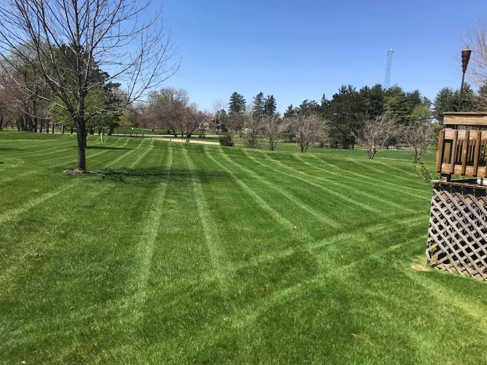 A lush green lawn with trees in the background and a deck in the foreground.