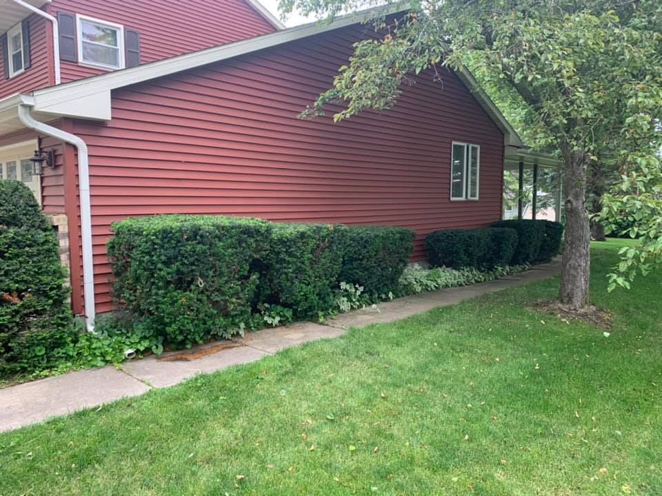 A house with a red siding and a tree in front of it