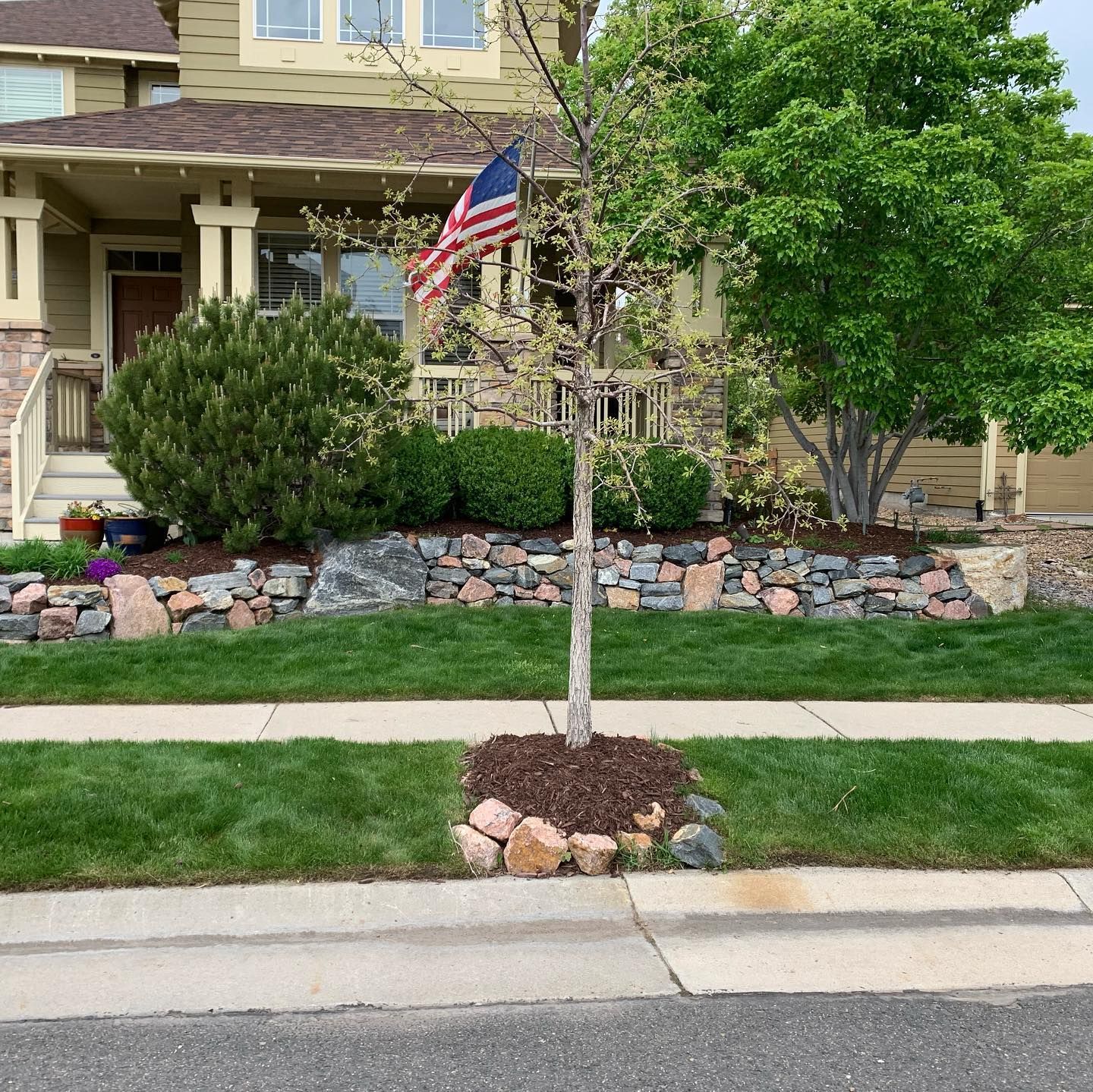 A tree in front of a house with an american flag