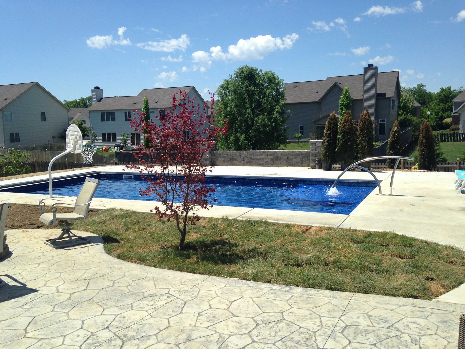 Backyard pool with houses in the background on a sunny day. A small tree sits in the foreground.