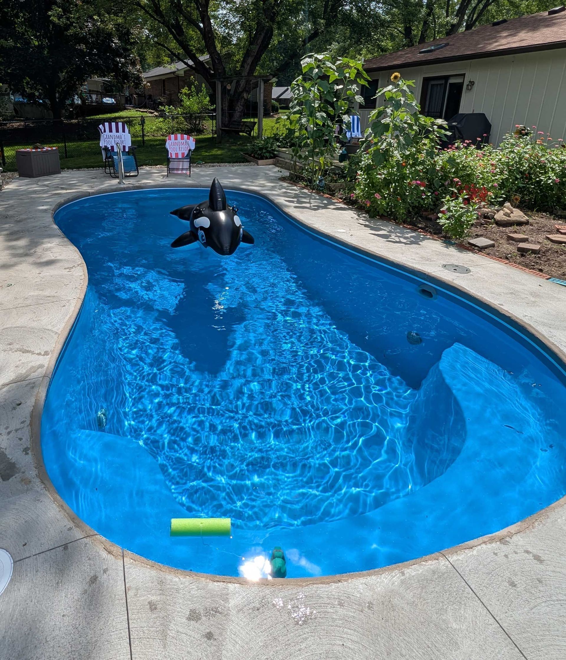 Blue pool with an inflatable orca; sunny backyard.A rectangular swimming pool filled with clear blue water, surrounded by brick and concrete.