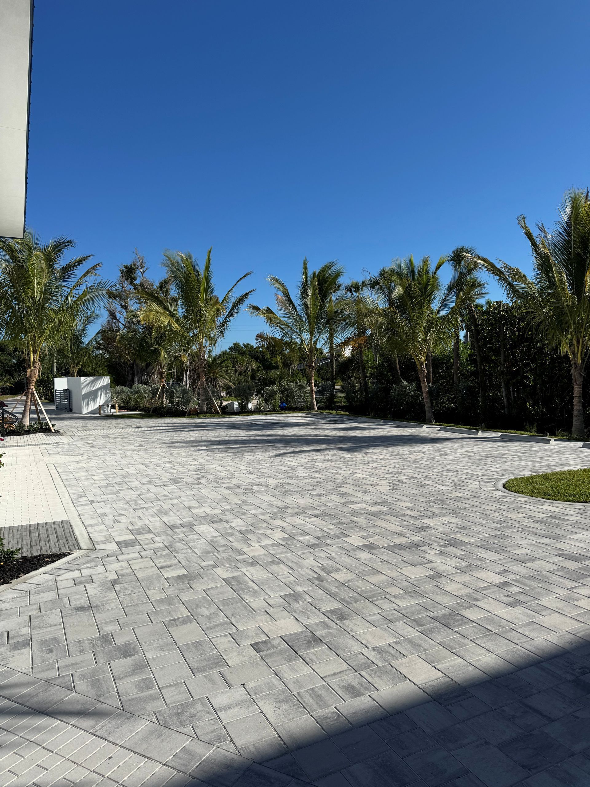 Sunny paved courtyard with palm trees and blue sky