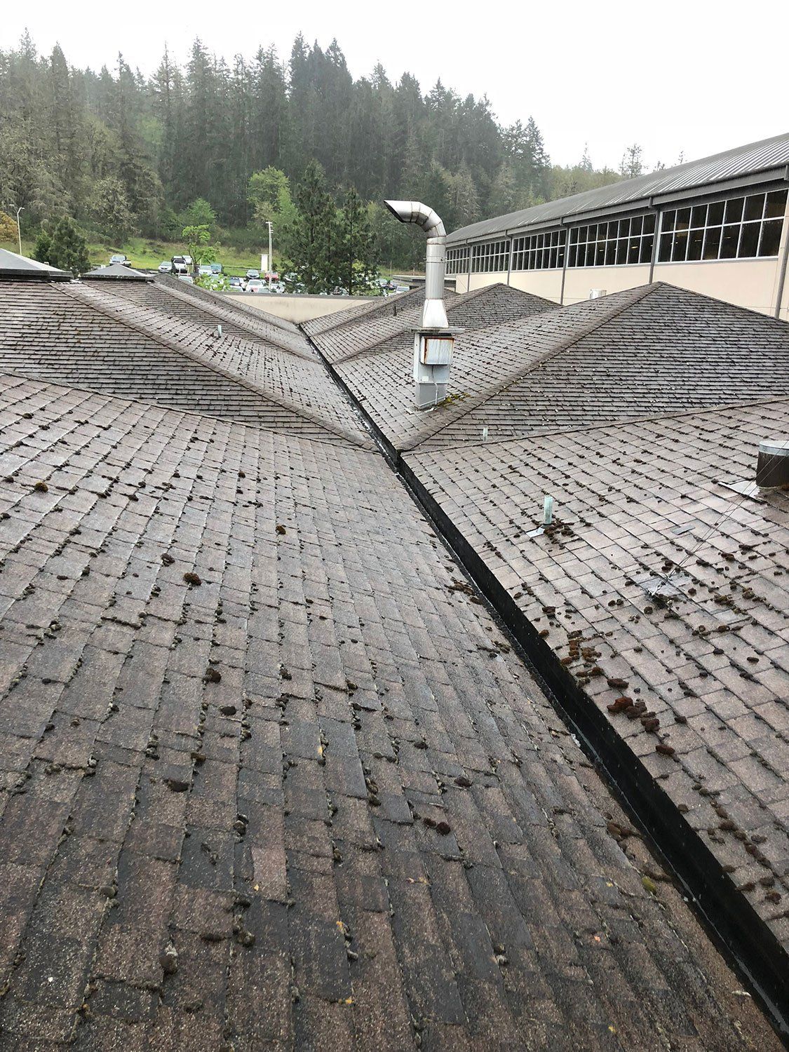 Residential roofing