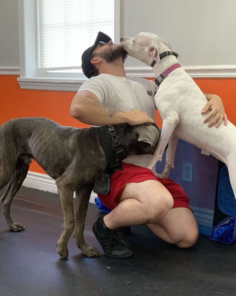 A person wearing a hat, white t-shirt, and red shorts kneeling while cuddling a white dog and a brindle dog.