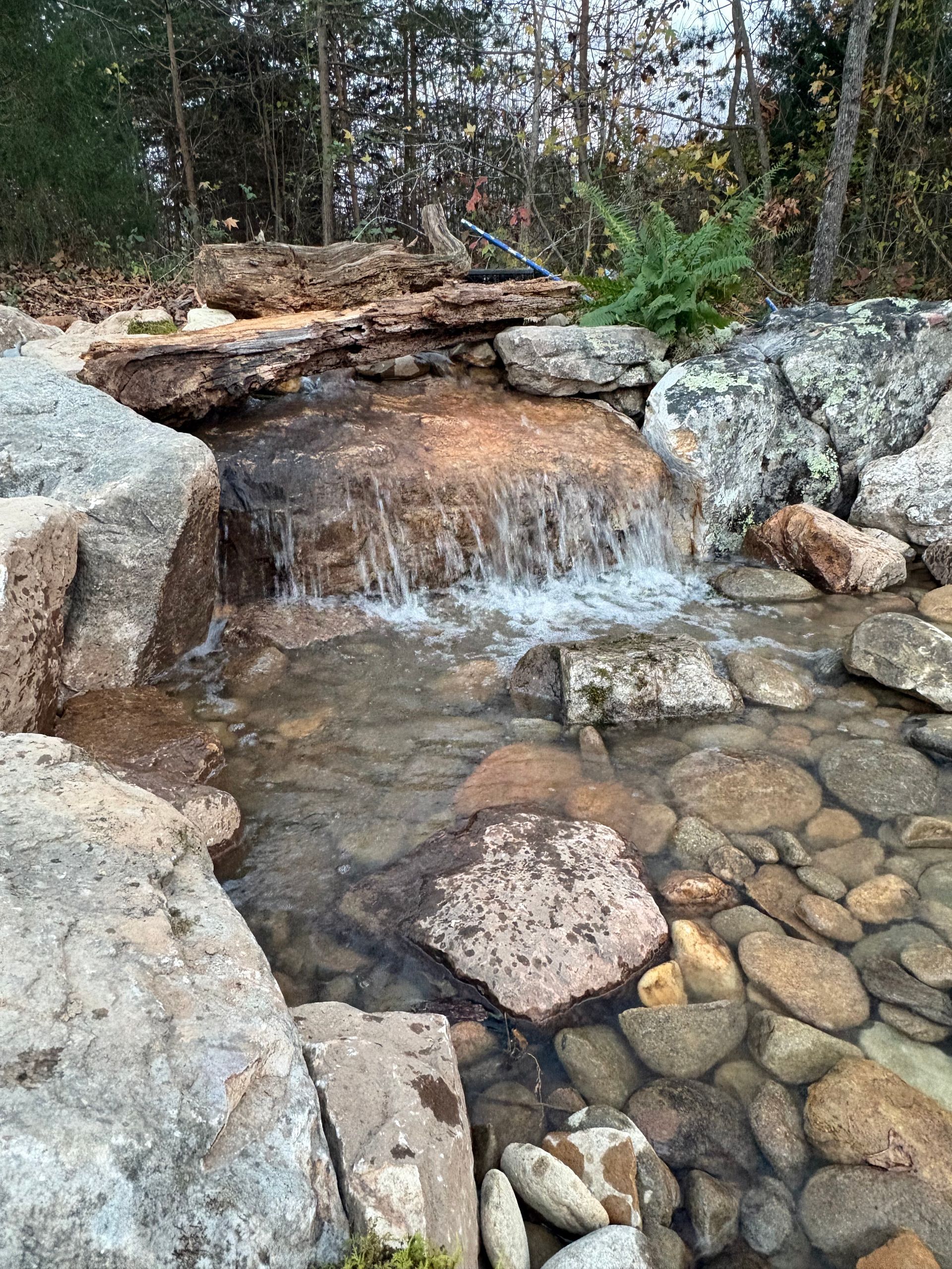A small waterfall cascades over rocks into a shallow pond with visible stones. The scene is outdoors, surrounded by trees.
