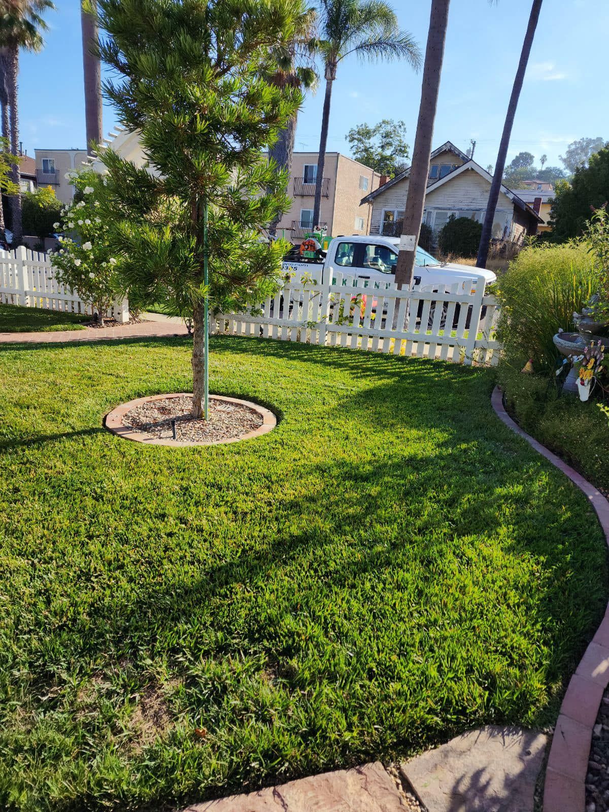 A lush green lawn with a white picket fence and a tree in the middle.