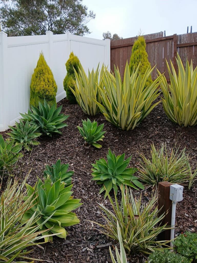 A garden filled with lots of plants and a white fence.