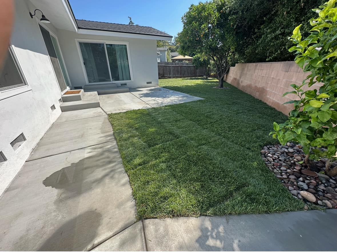 The backyard of a house with a lush green lawn and a concrete walkway.