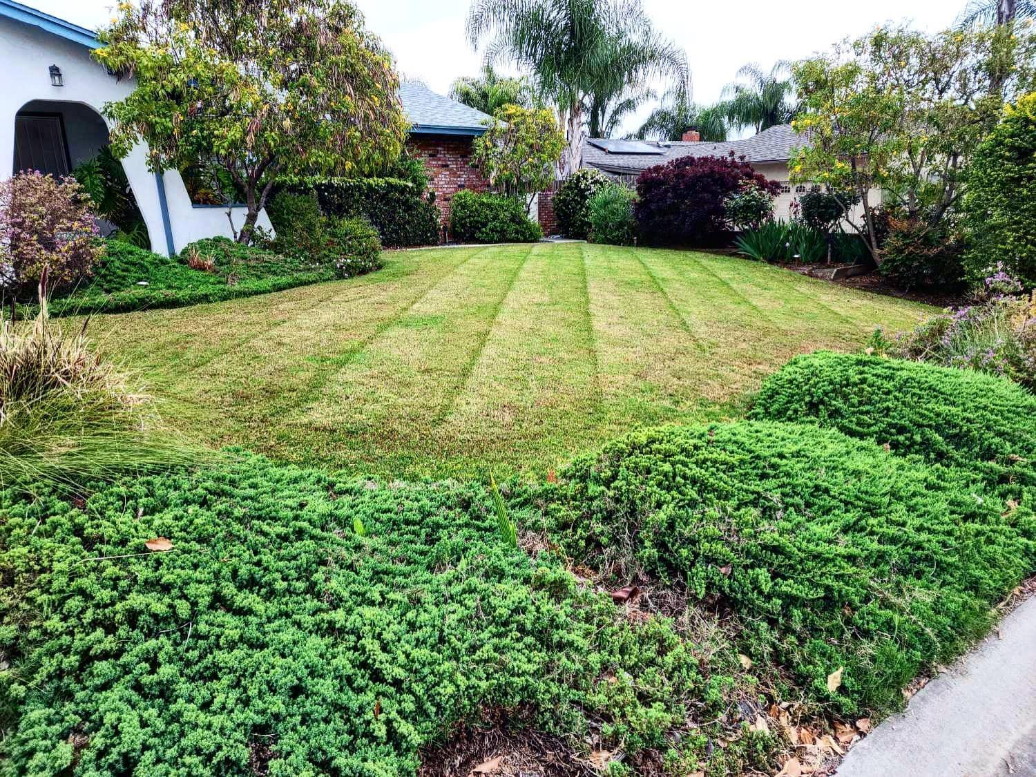 A lush green lawn in front of a house with a white house in the background.