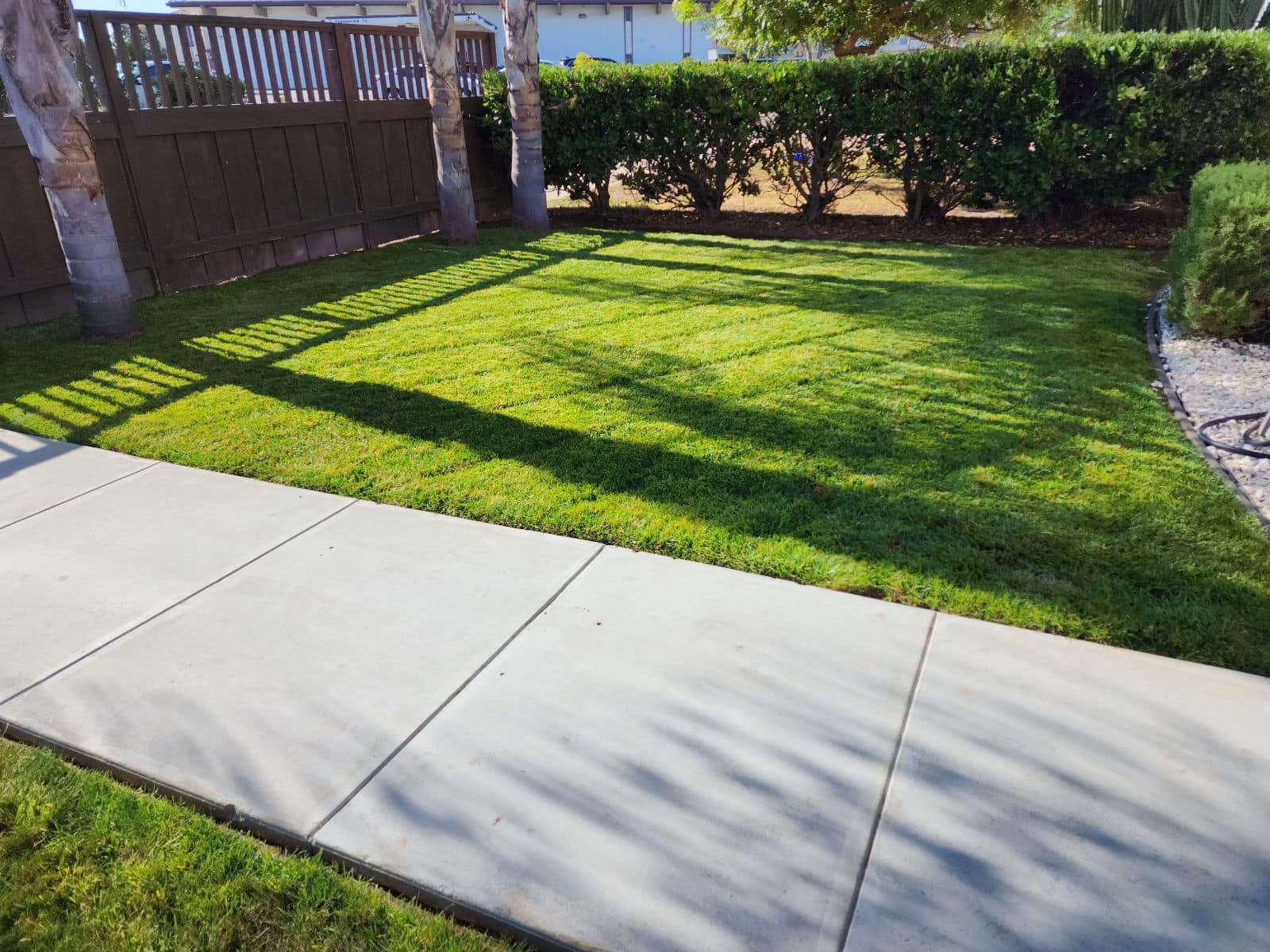 A lawn with a sidewalk and a fence in the background