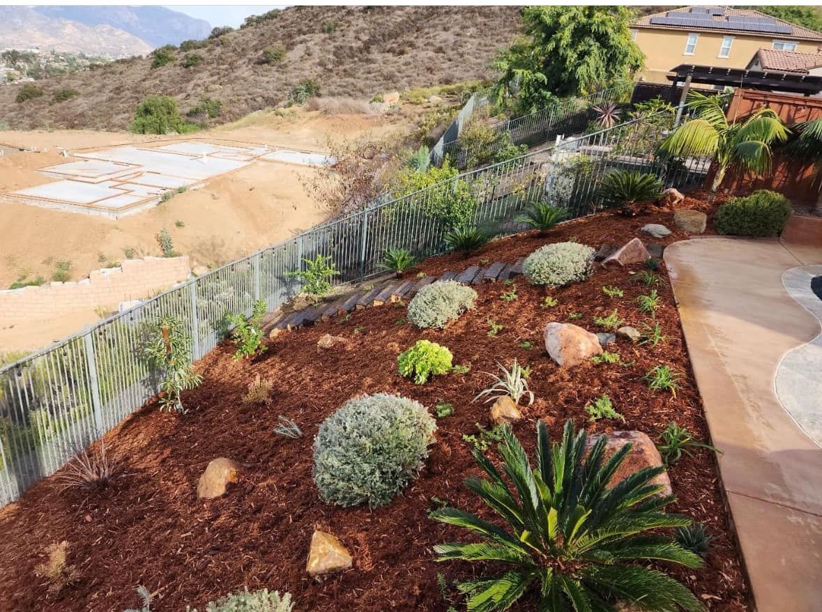 A garden with lots of plants and rocks on a hillside