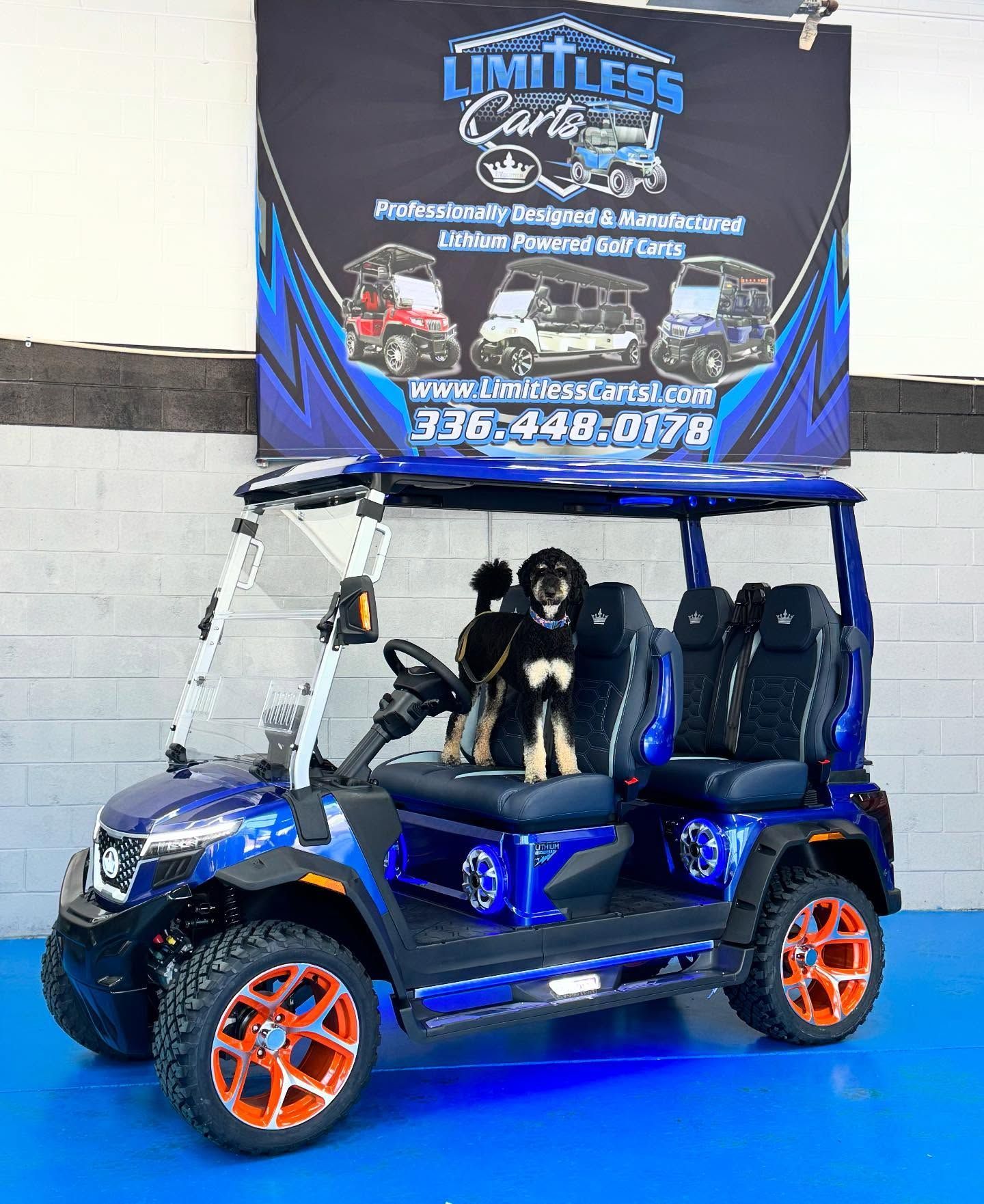 A dog is sitting in a blue golf cart.