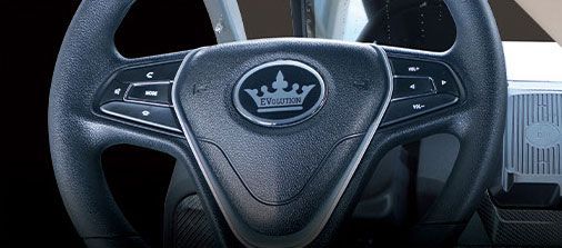 A close up of a steering wheel with a crown on it.