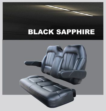 A picture of a black sapphire golf cart seat.
