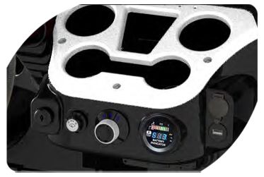 Turfman 200 pro Color Matched Dash