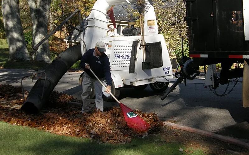 Leaf removal