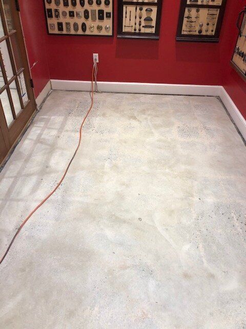 A hallway in a showroom with a lot of windows