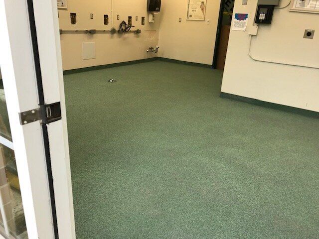 A room with a green carpet and white walls