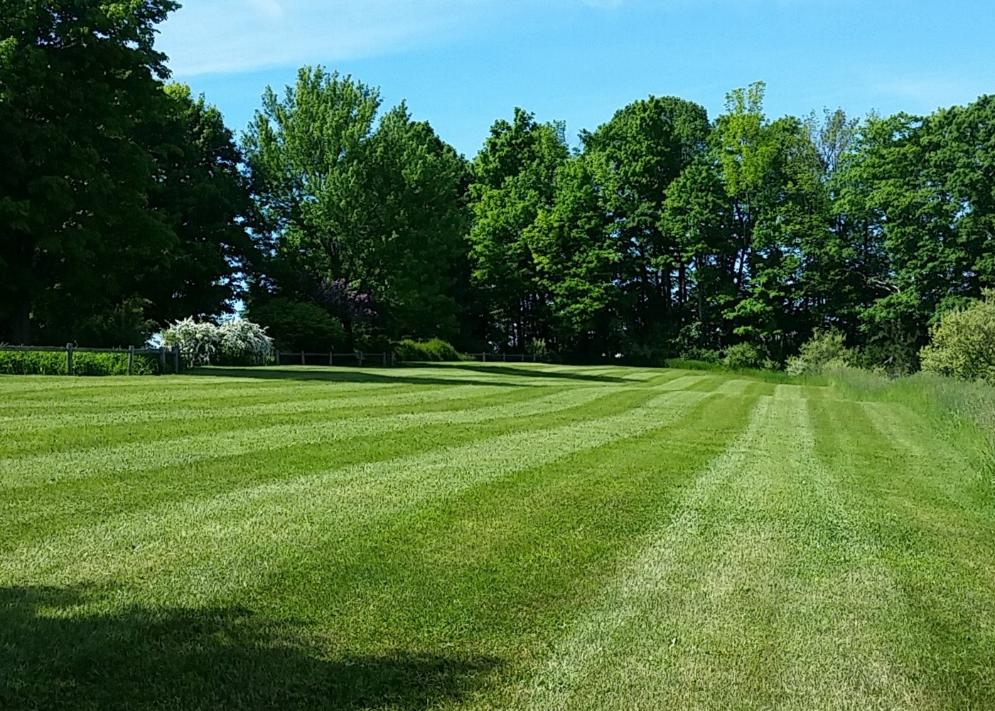 Huge lawn