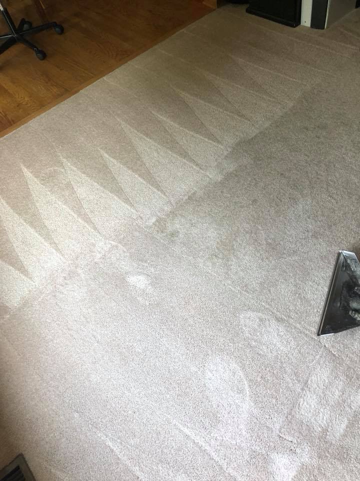 Carpet cleaning