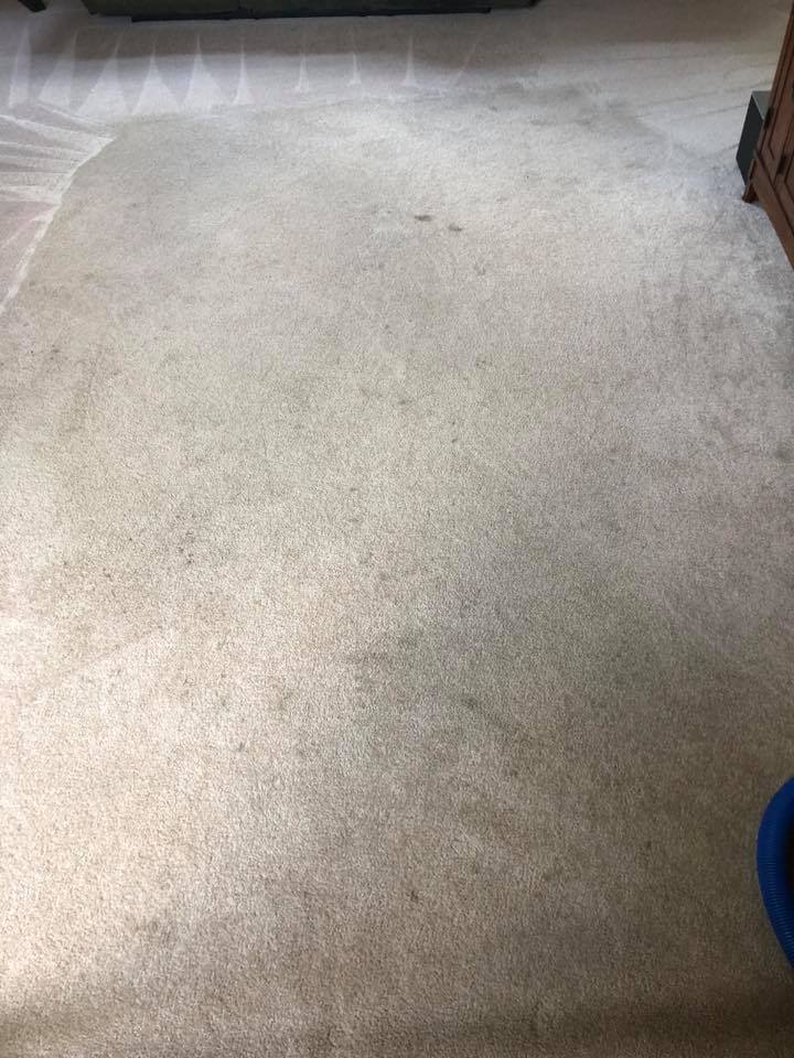 Carpet cleaning