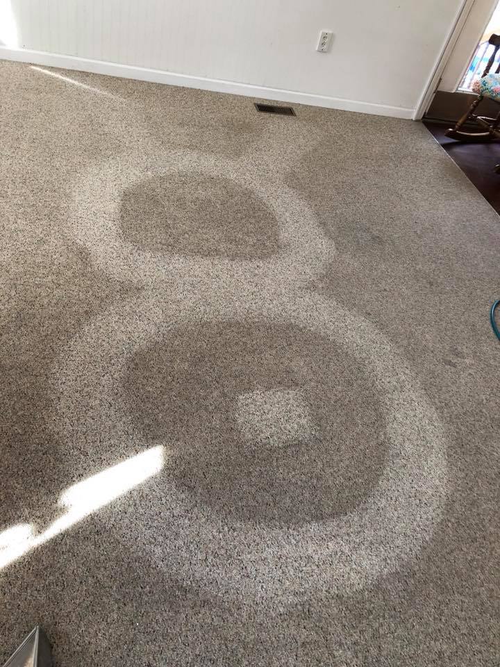 Carpet cleaning