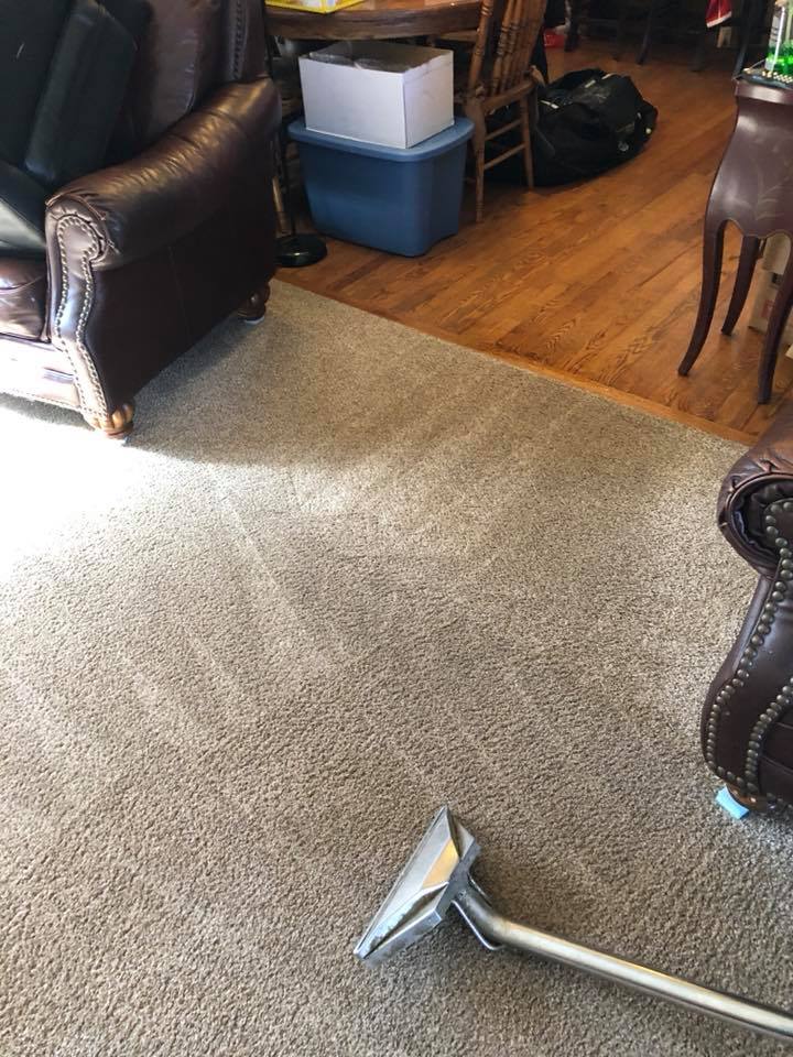 Carpet cleaning