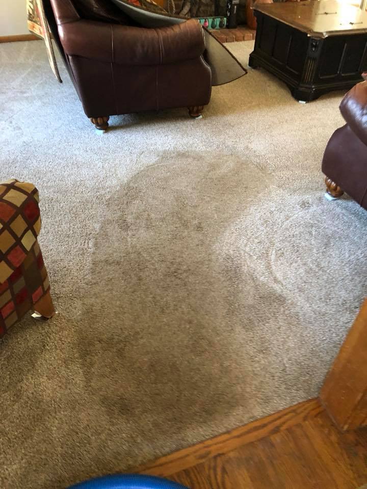 A living room with a carpet , chairs , and a coffee table.
