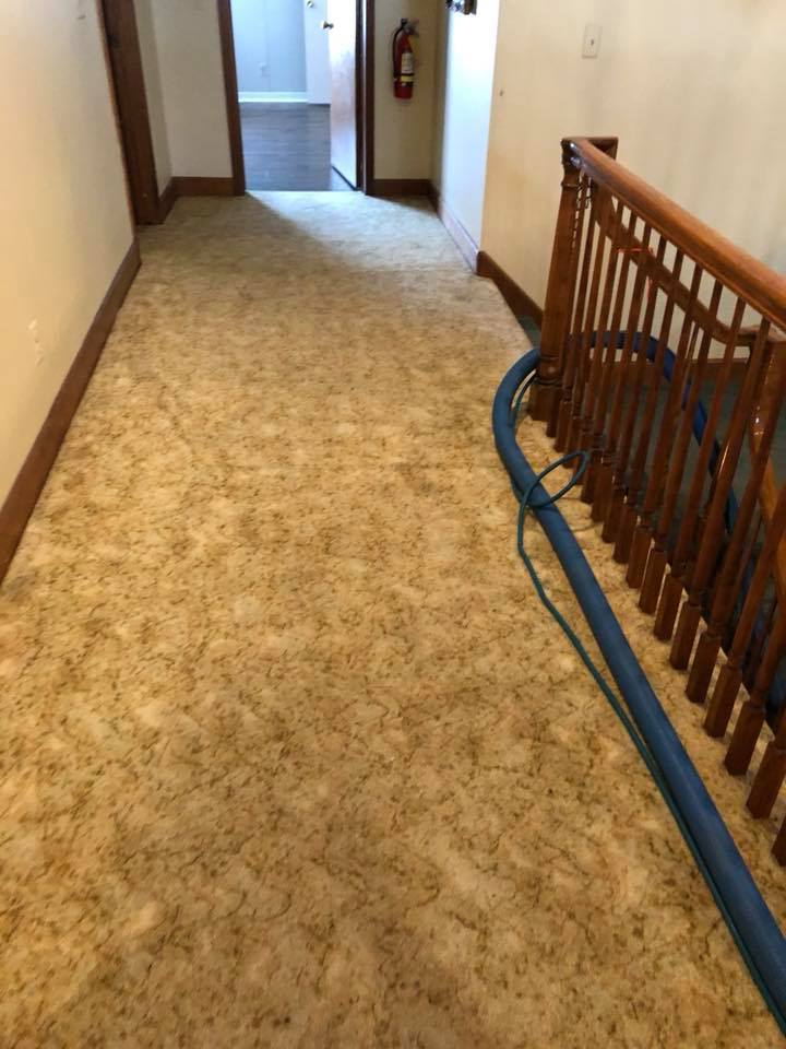 Carpeted floor