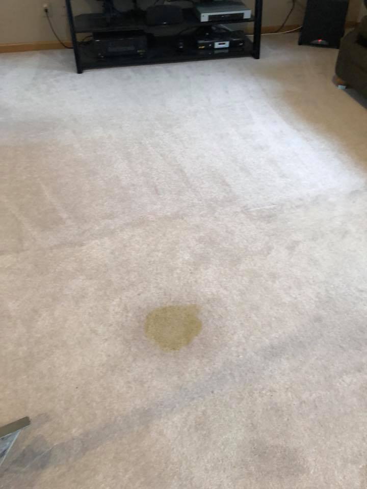 Carpet with stain before