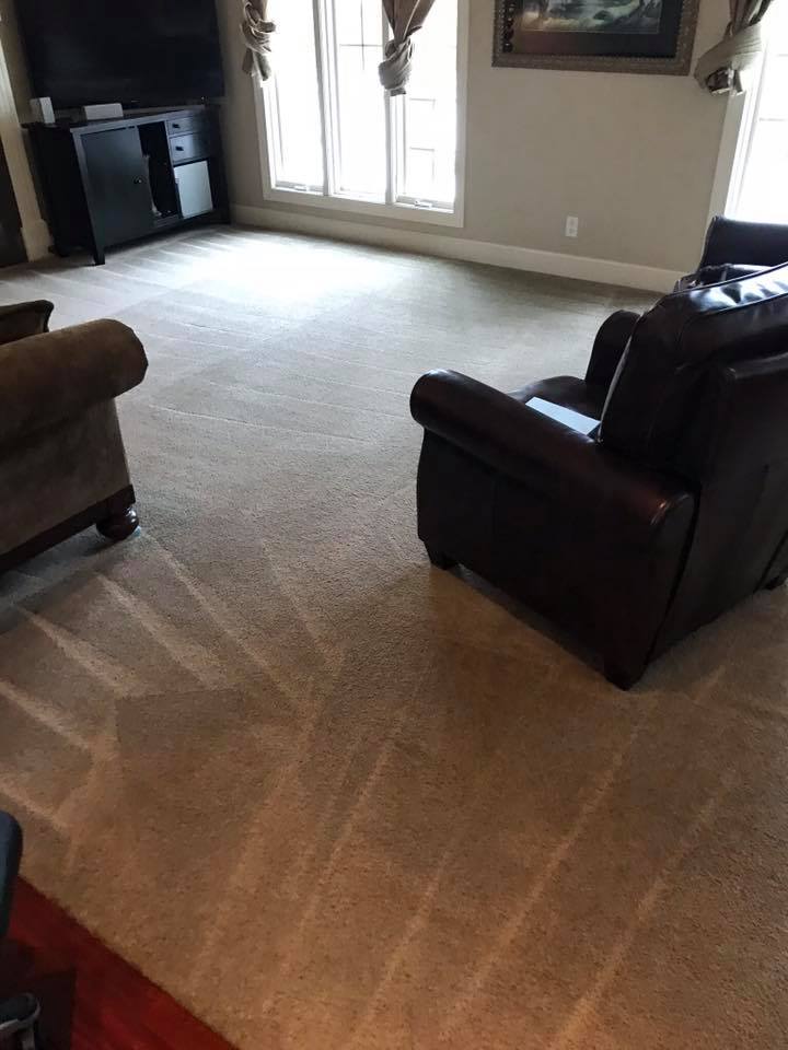 Carpet cleaning