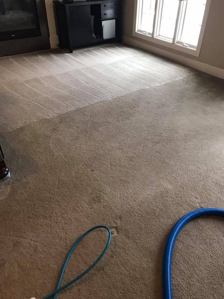 Carpet cleaning