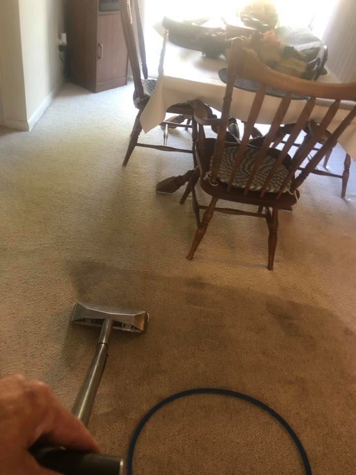 Carpet cleaning