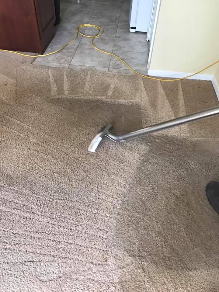Carpet cleaning