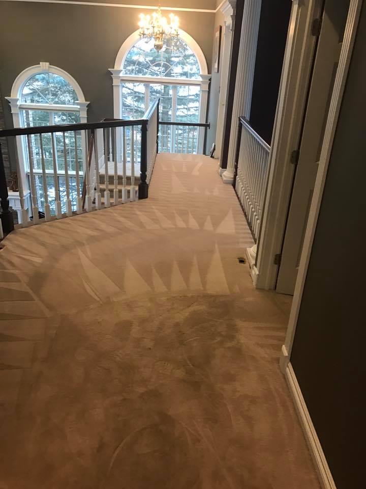 Carpet cleaning