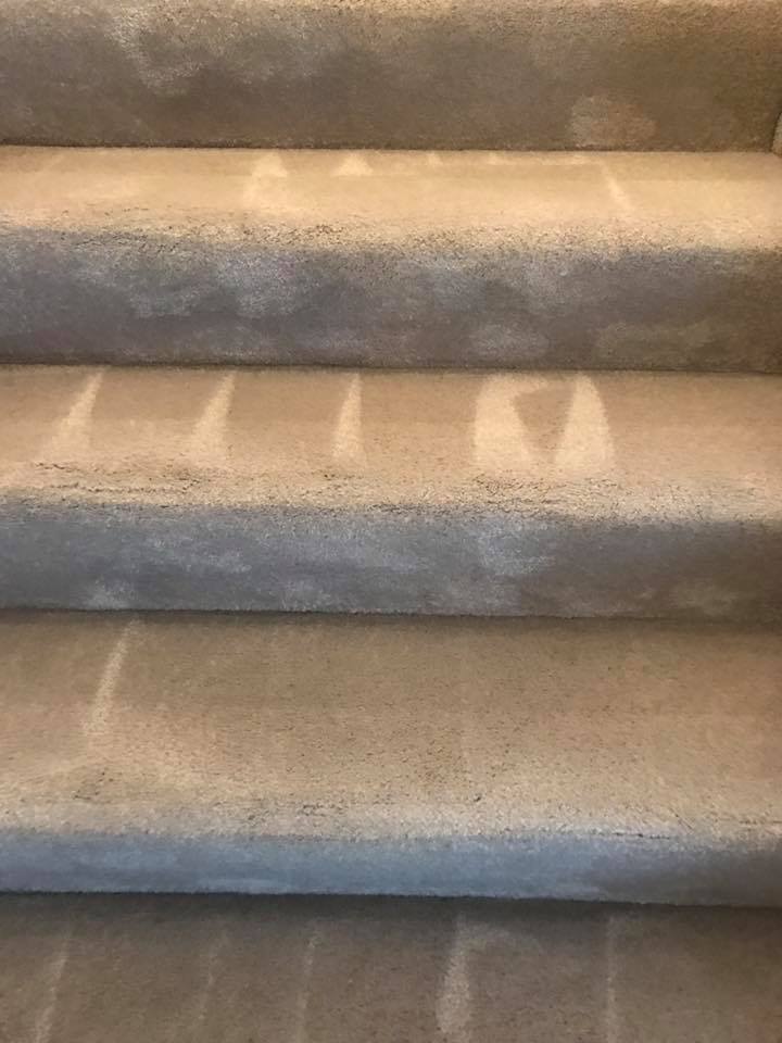 Carpet cleaning