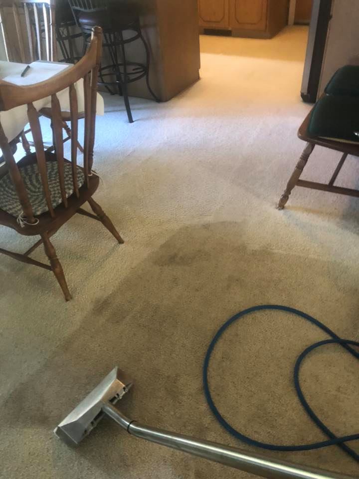 Carpet cleaning