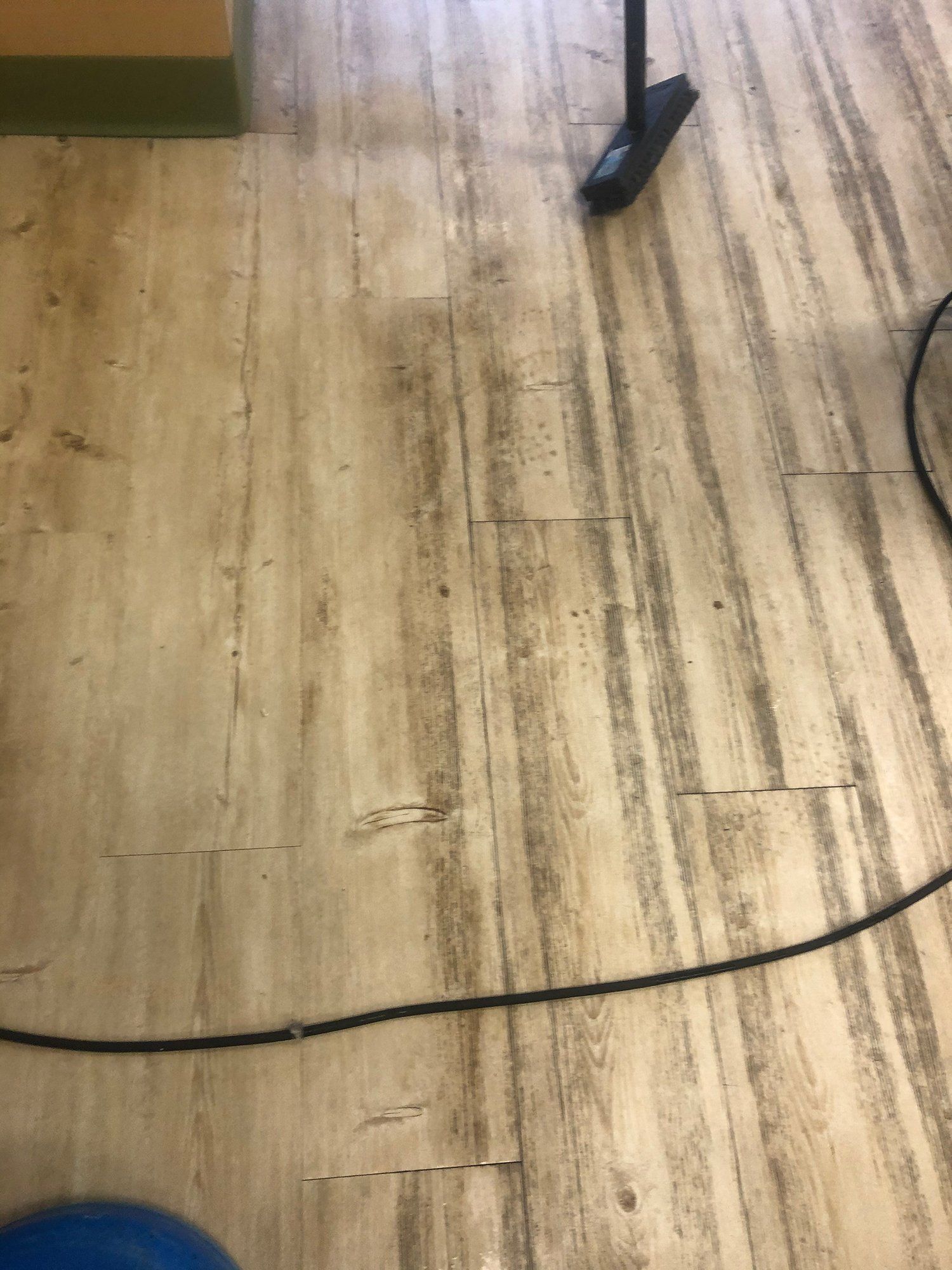 Hardwood floor maintenance