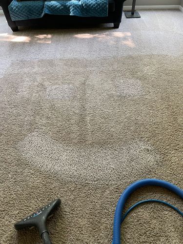 A vacuum cleaner is sitting on top of a carpet in a living room.
