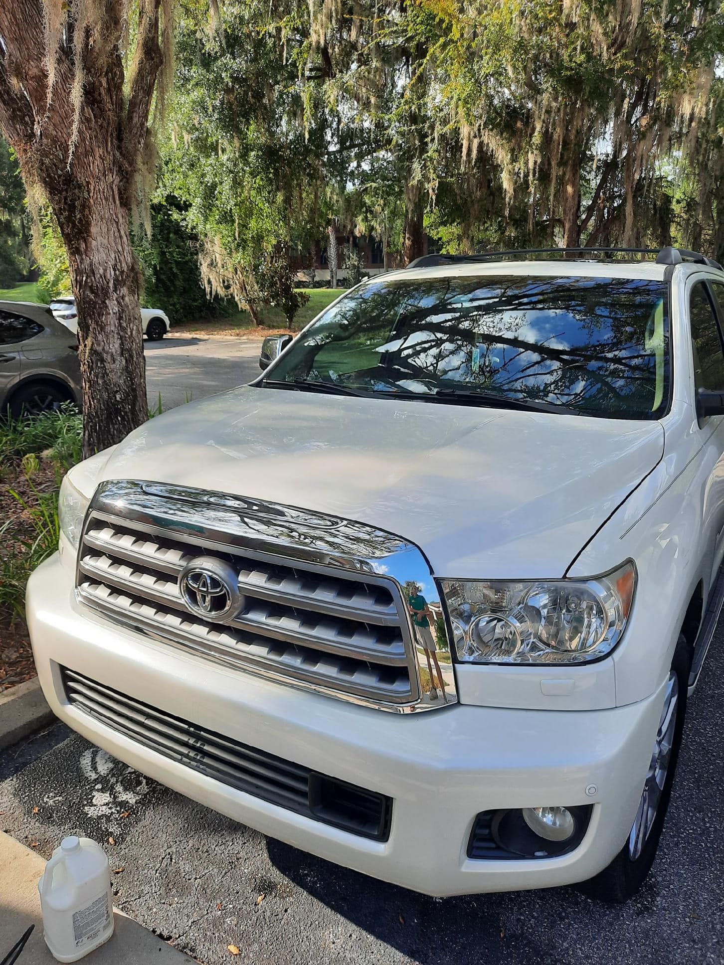 A white toyota tundra is parked in a driveway next to a tree.