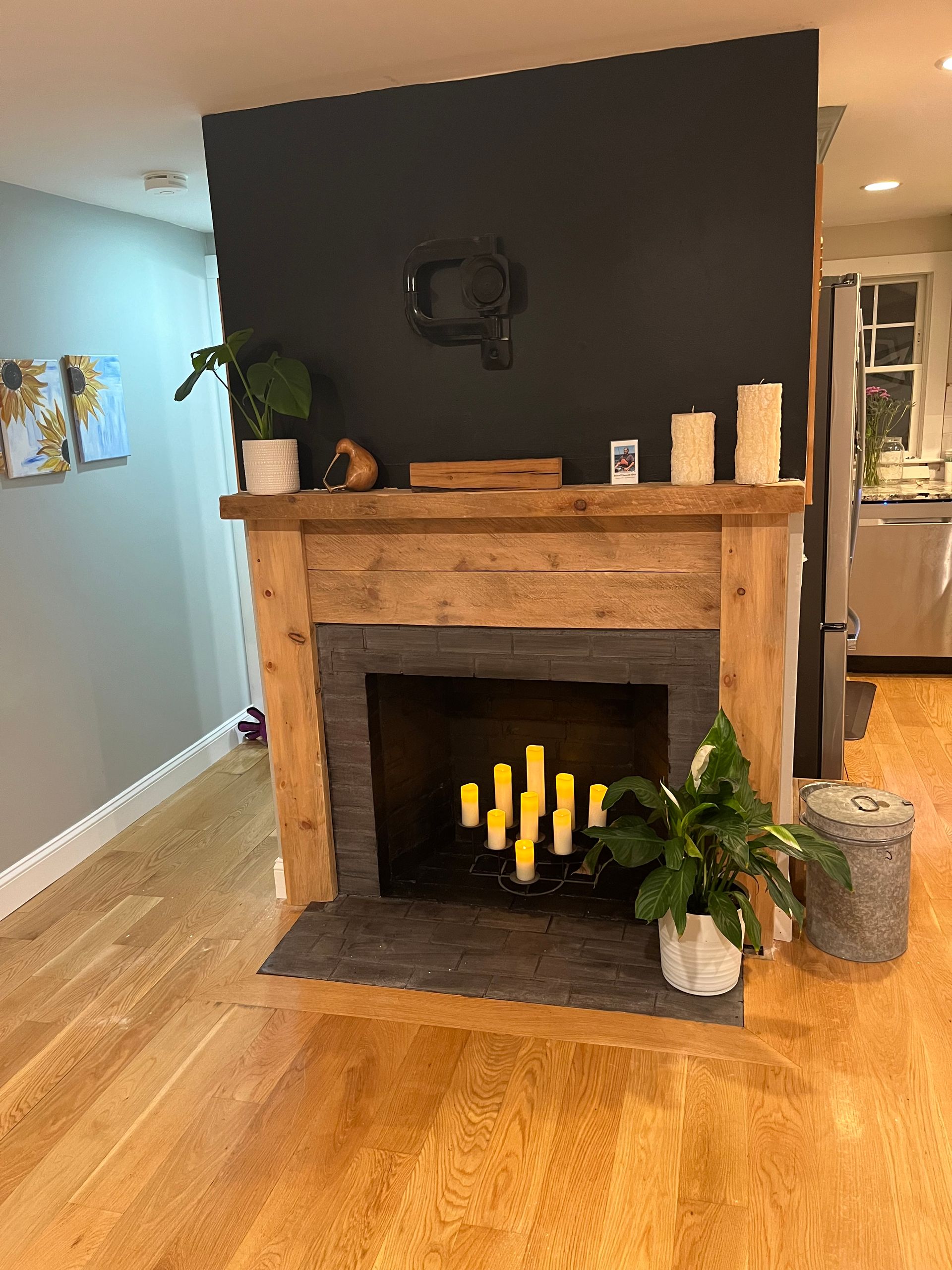 A living room with a fireplace and a plant in front of it.