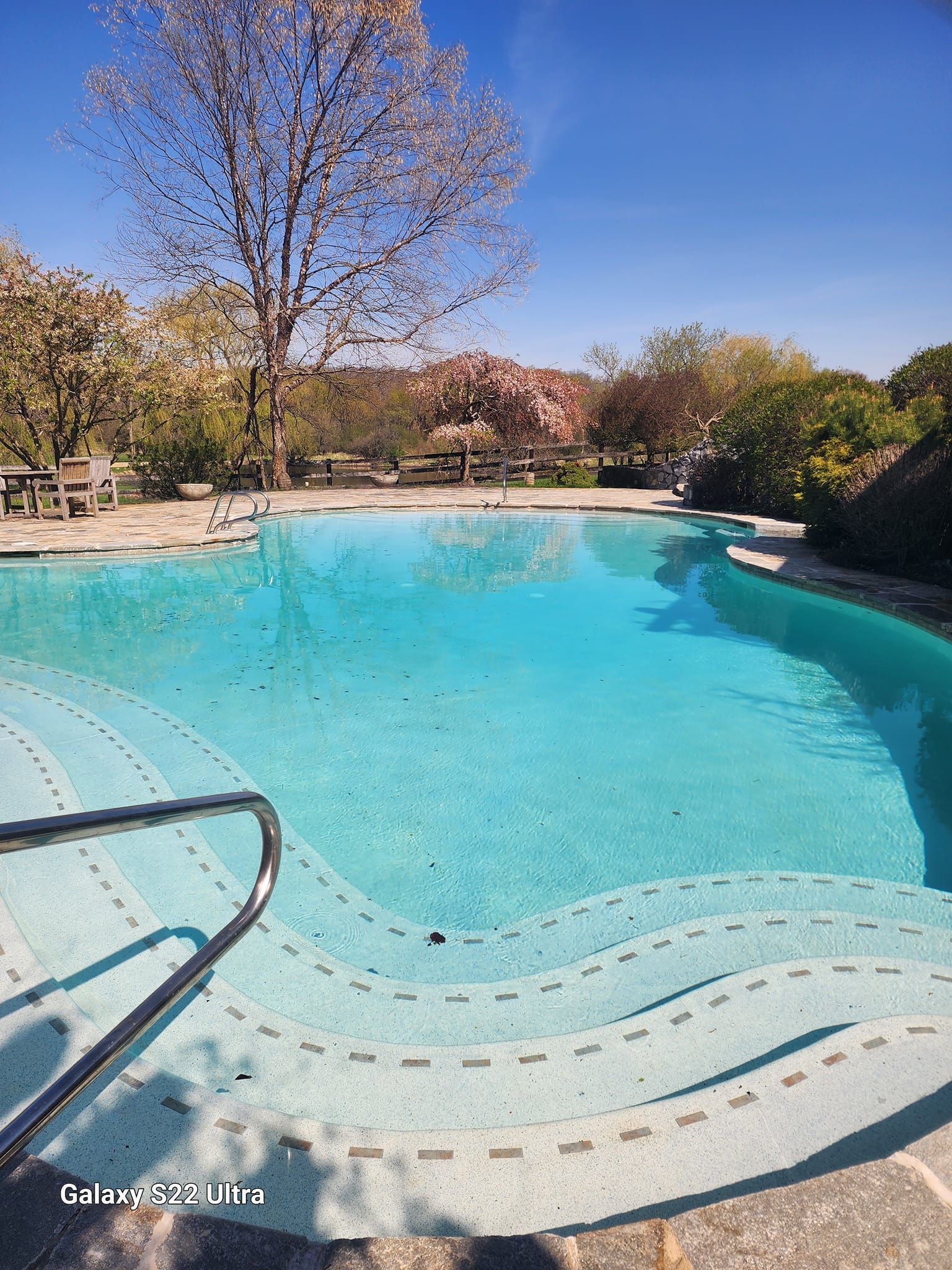 A turquoise swimming pool with curved entry steps and a handrail, surrounded by trees and a clear blue sky.