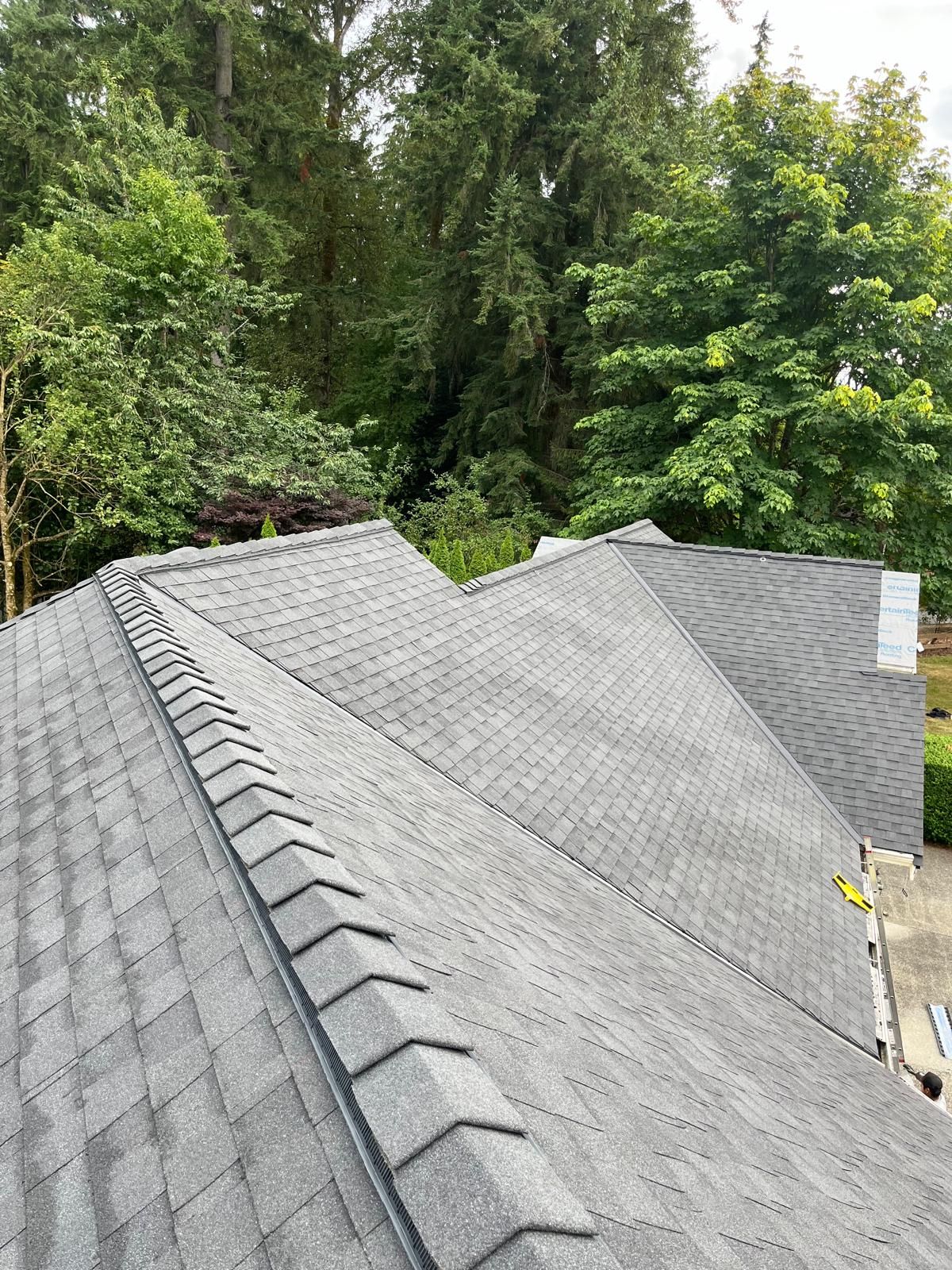 Gray asphalt shingle roof with a backdrop of green trees.