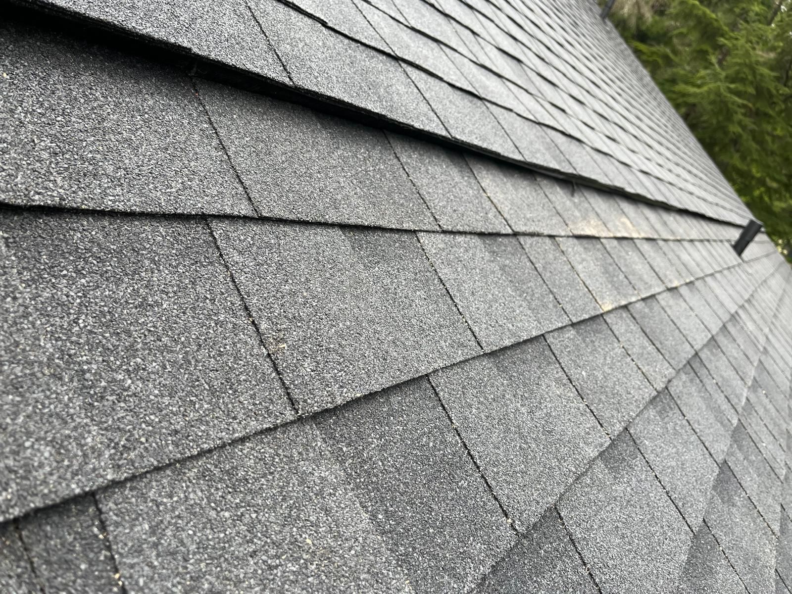 Close-up of a gray asphalt shingle roof.
