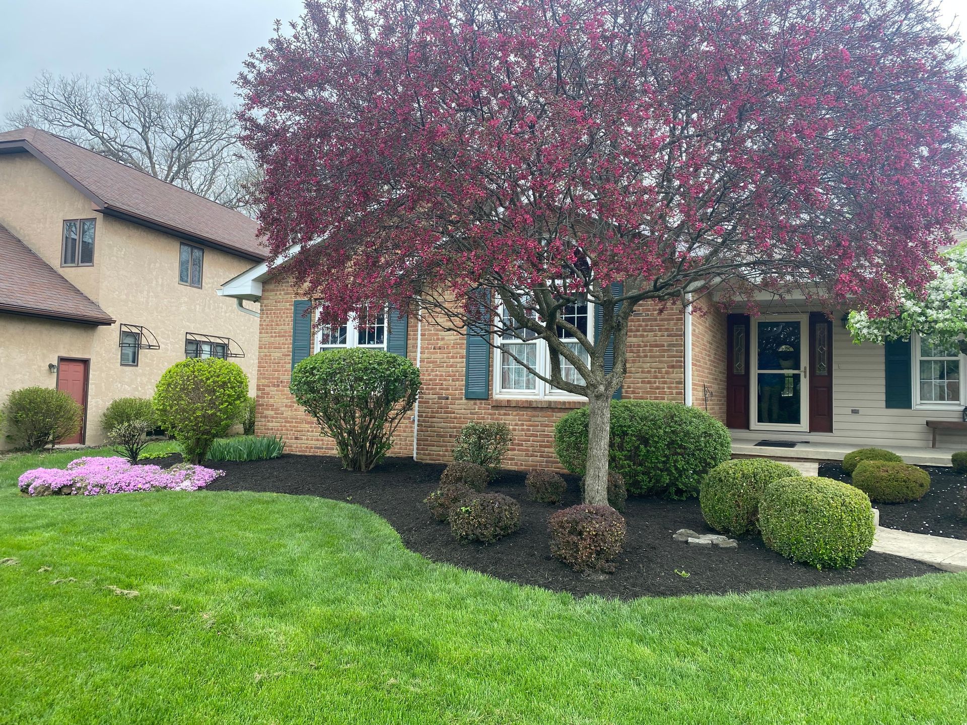 A house with a tree in front of it and a lush green lawn.